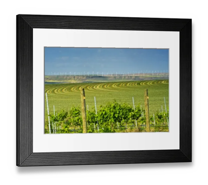 Framed Print : USA, North America, Washington