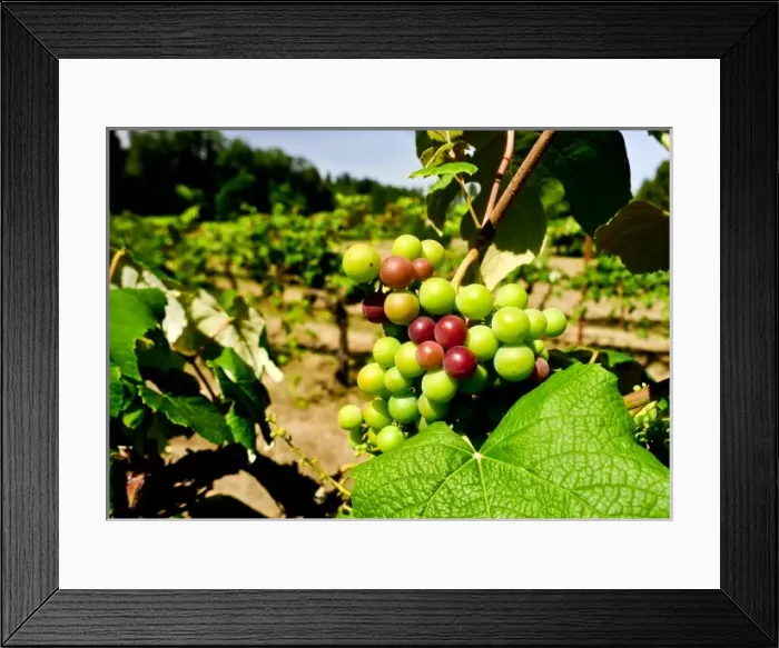 Framed Print : USA, North America, Washington Framed Print : USA, North America, Washington