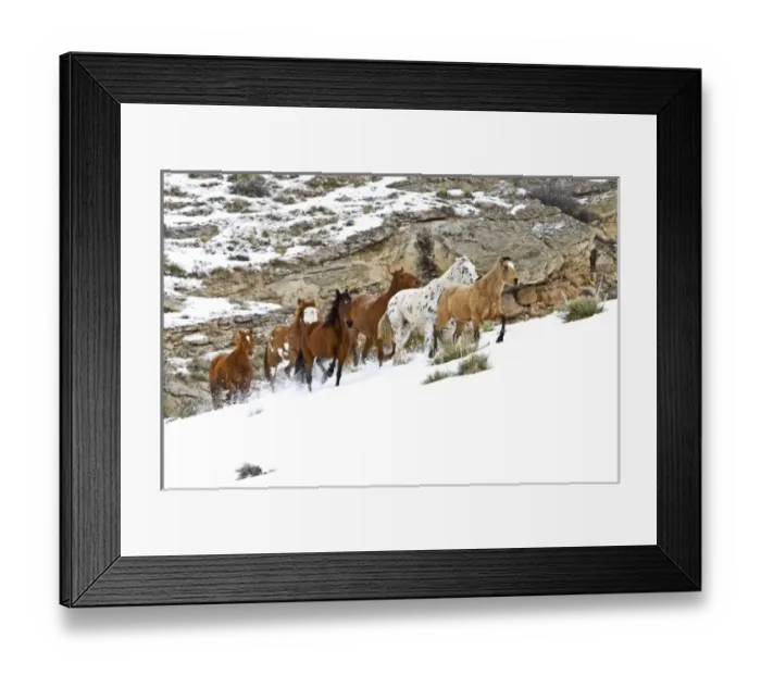 Framed Print : USA, North America, Wyoming
