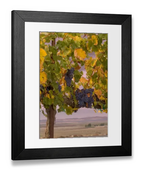 Framed Print : USA, North America, Washington Framed Print : USA, North America, Washington