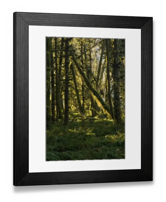 Framed Print : USA, North America, Washington Framed Print : USA, North America, Washington