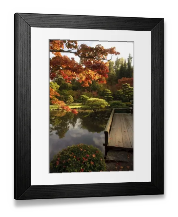 Framed Print : USA, Washington, Seattle, Arboretum, Japanese Garden