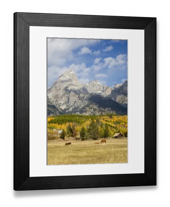 Framed Print : USA, North America, Wyoming Framed Print : USA, North America, Wyoming