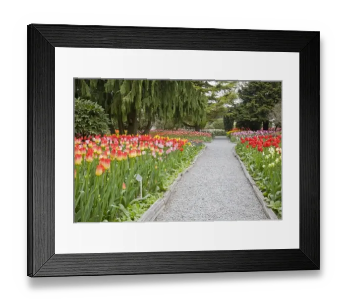 Framed Print : USA, North America, Washington Framed Print : USA, North America, Washington