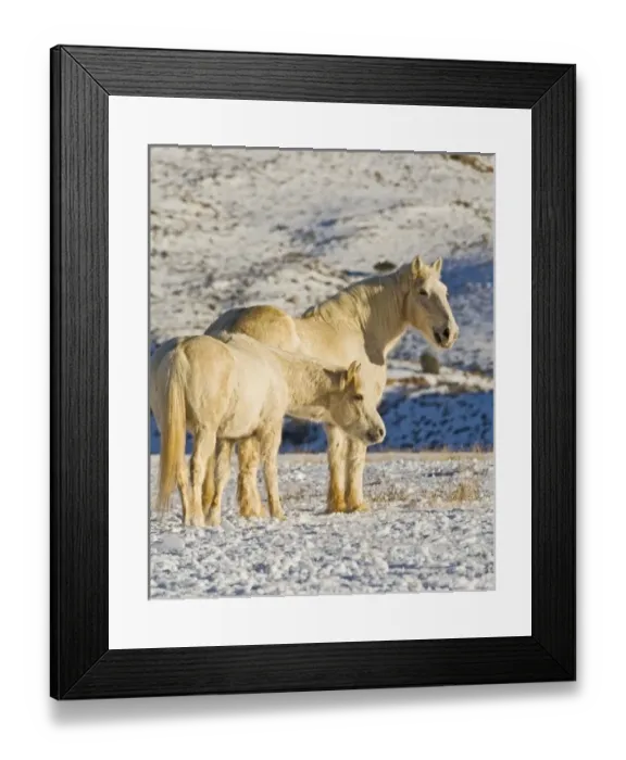 Framed Print : USA, North America, Wyoming Framed Print : USA, North America, Wyoming