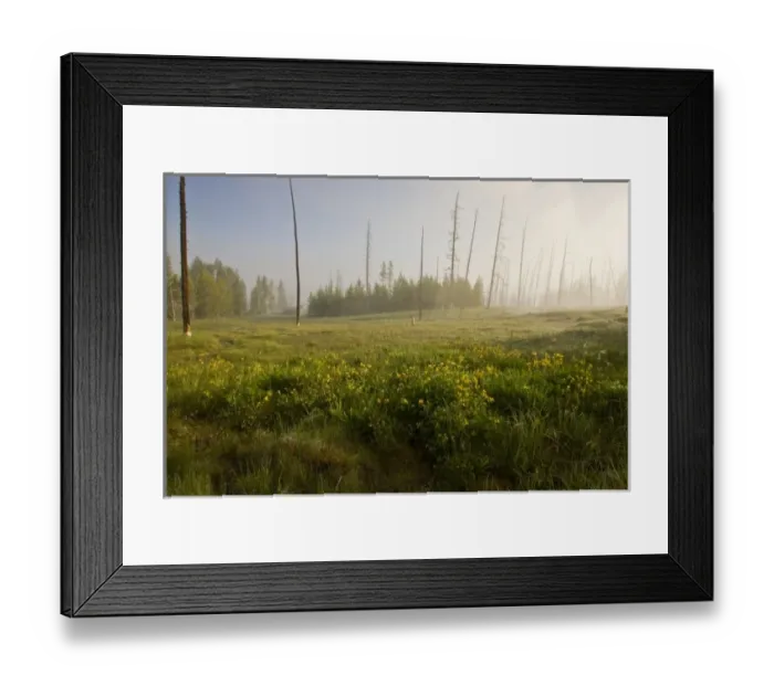 Framed Print : Unknown. North America, USA, Wyoming, Yellowstone National Park