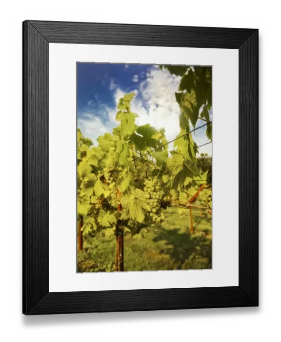 Framed Print : USA, North America, Washington Framed Print : USA, North America, Washington