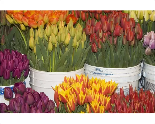 WA, Seattle, Pike Place Market, Fresh flowers for sale