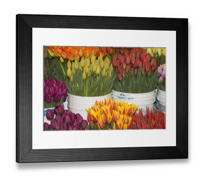 Framed Print : WA, Seattle, Pike Place Market, Fresh flowers for sale Framed Print : WA, Seattle, Pike Place Market, Fresh flowers for sale