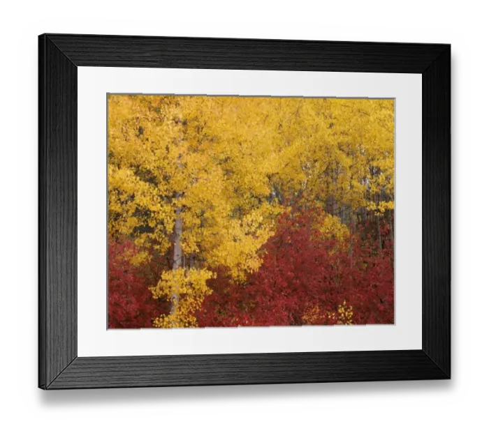 Framed Print : USA, North America, Washington Framed Print : USA, North America, Washington