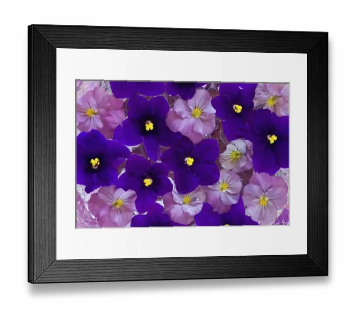 Framed Print : Floating flower design in bowl of Water, Sammamish Washington