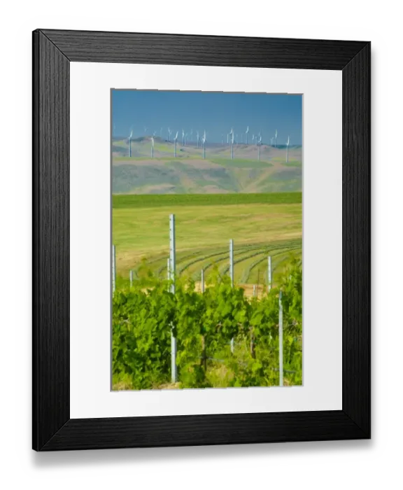 Framed Print : USA, North America, Washington