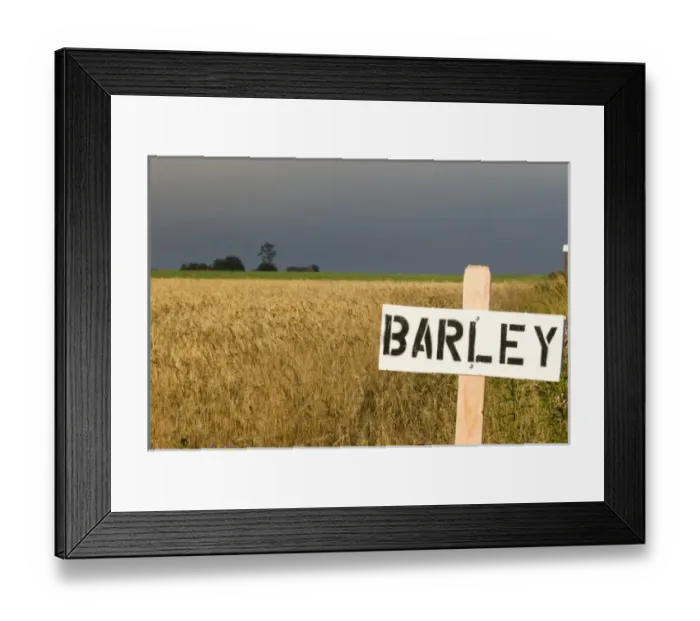 Framed Print : USA, WA, Island County, Whidbey Island. Helpful signage in farm fields of Ebey s Framed Print : USA, WA, Island County, Whidbey Island. Helpful signage in farm fields of Ebey s