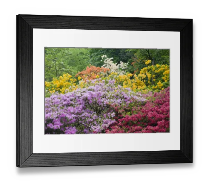 Framed Print : USA, North America, Washington
