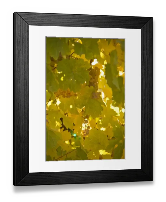 Framed Print : USA, North America, Washington Framed Print : USA, North America, Washington