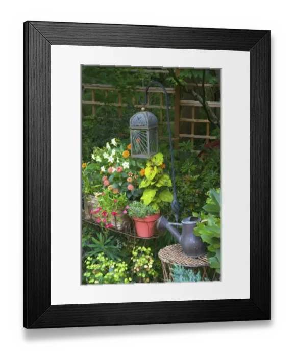 Framed Print : Garden designs in our Garden Sammamish, Washington