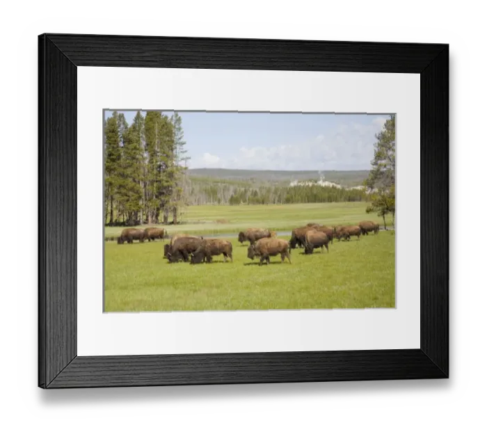 Framed Print : USA, North America, Wyoming