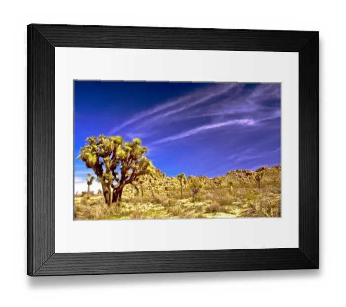 Framed Print : USA, California, Joshua Tree National Park Framed Print : USA, California, Joshua Tree National Park
