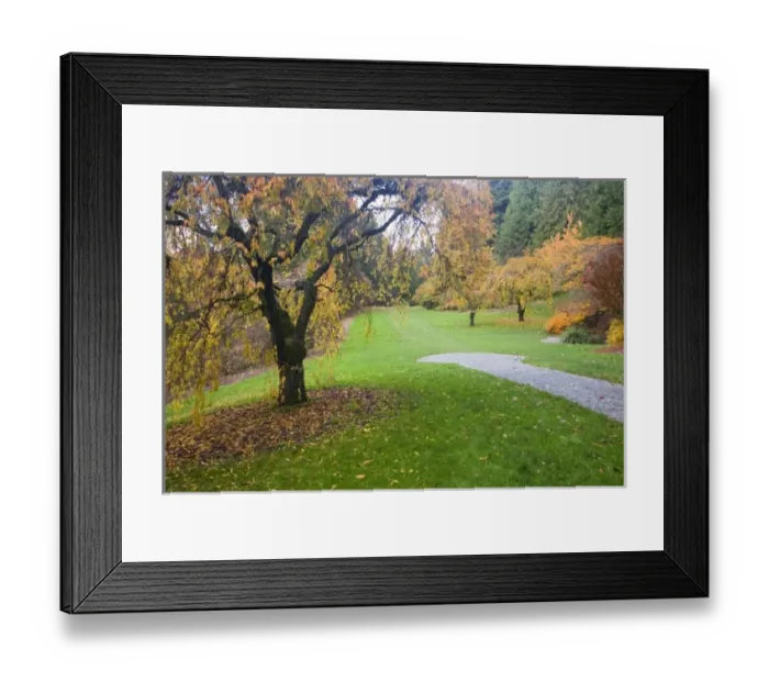 Framed Print : USA, North America, Washington Framed Print : USA, North America, Washington