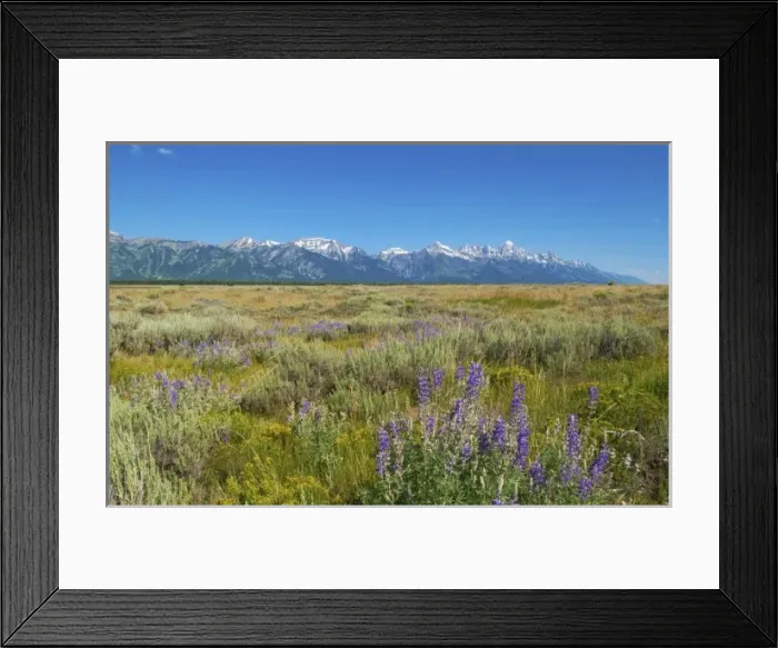 Framed Print : USA, North America, Wyoming Framed Print : USA, North America, Wyoming
