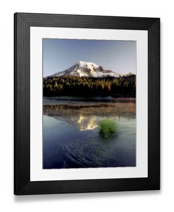 Framed Print : Mt. Rainier is captured in Reflection Lake at peak of summer Framed Print : Mt. Rainier is captured in Reflection Lake at peak of summer