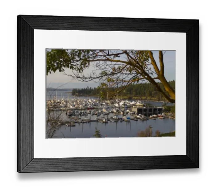 Framed Print : Marina at Roche Harbor, San Juan Island, Washington State