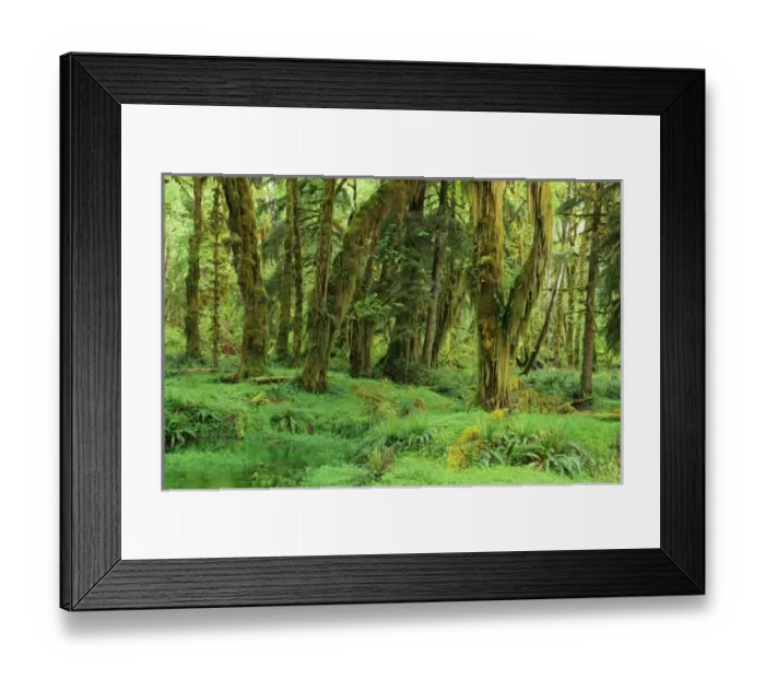 Framed Print : USA, North America, Washington