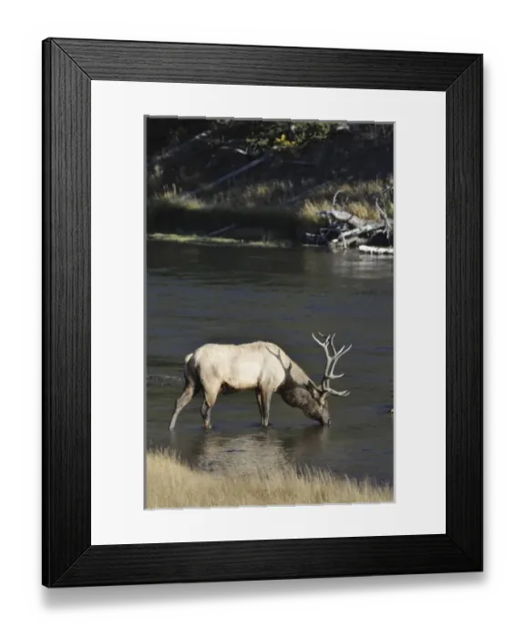 Framed Print : USA, North America, Wyoming Framed Print : USA, North America, Wyoming