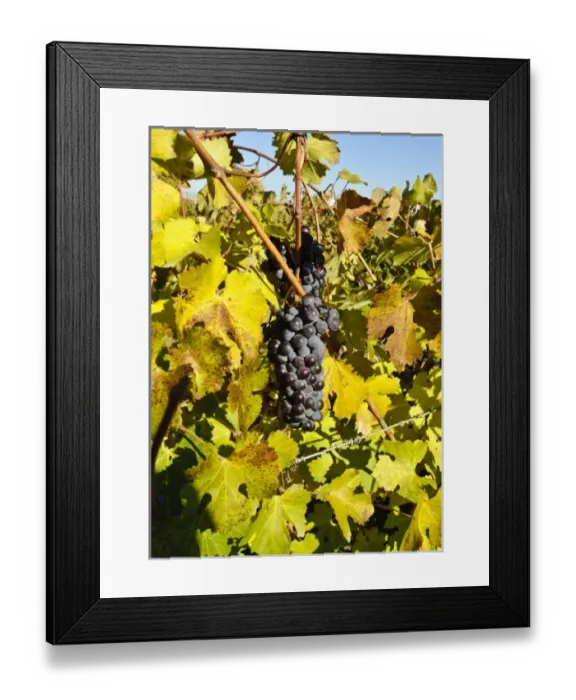 Framed Print : USA, North America, Washington Framed Print : USA, North America, Washington