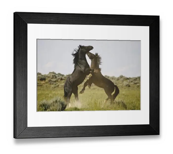 Framed Print : USA, North America, Wyoming Framed Print : USA, North America, Wyoming