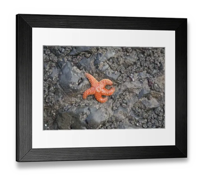 Framed Print : USA, North America, Washington