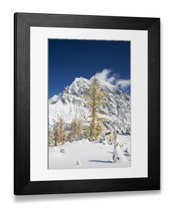 Framed Print : WA, Alpine Lakes Wilderness, Mount Stuart, with golden larch trees and fresh snow Framed Print : WA, Alpine Lakes Wilderness, Mount Stuart, with golden larch trees and fresh snow