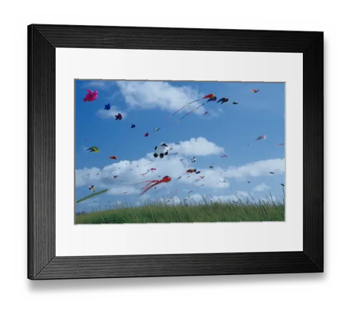 Framed Print : USA, Washington, Long Beach. Kites on the beach, Washington State kite festival Framed Print : USA, Washington, Long Beach. Kites on the beach, Washington State kite festival