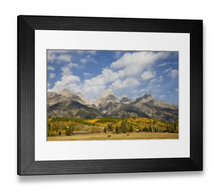 Framed Print : USA, North America, Wyoming Framed Print : USA, North America, Wyoming