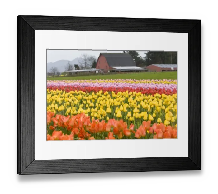 Framed Print : USA, North America, Washington Framed Print : USA, North America, Washington