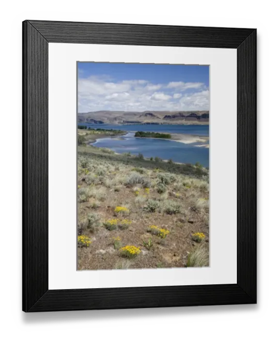 Framed Print : USA, North America, Washington Framed Print : USA, North America, Washington