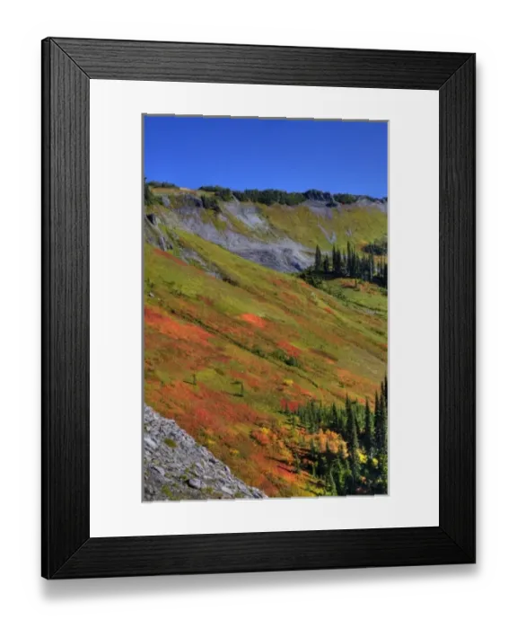 Framed Print : WA, Mt. Rainier National Park, view from Skyline Trail Framed Print : WA, Mt. Rainier National Park, view from Skyline Trail