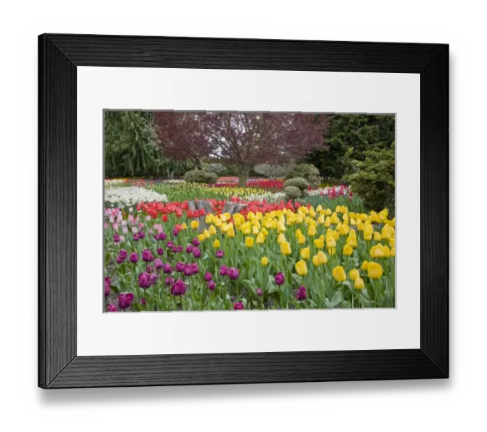 Framed Print : USA, North America, Washington