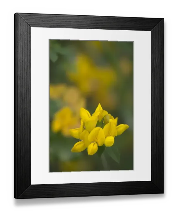 Framed Print : USA, North America, Washington