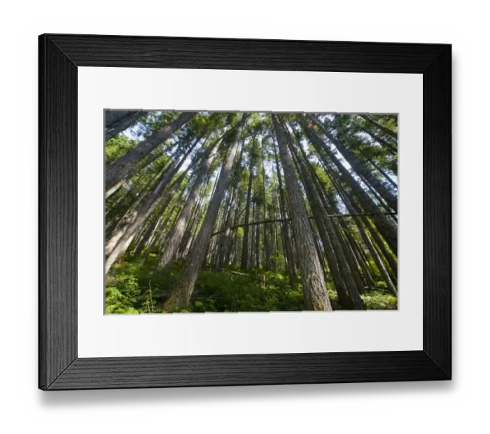 Framed Print : USA, North America, Washington Framed Print : USA, North America, Washington