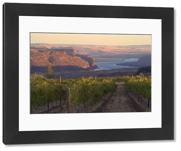 Columbia River seen from Cave B vineyards in Grant County, Washington, USA