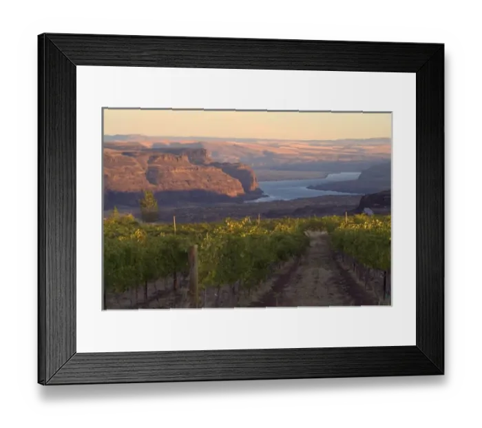 Framed Print : Columbia River seen from Cave B vineyards in Grant County, Washington, USA Framed Print : Columbia River seen from Cave B vineyards in Grant County, Washington, USA