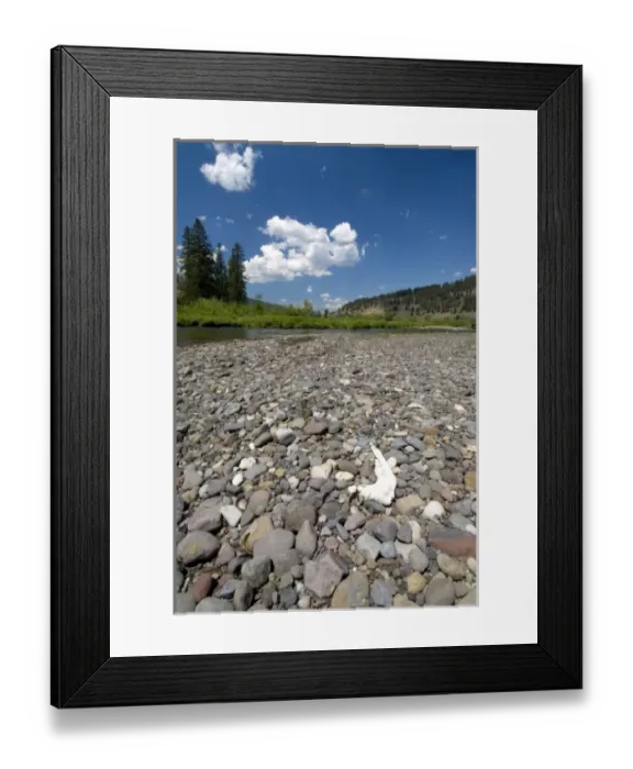 Framed Print : Jaw Bone on the bank of Soda Butte Creek, Yellowstone NP, Wyoming, USA Framed Print : Jaw Bone on the bank of Soda Butte Creek, Yellowstone NP, Wyoming, USA