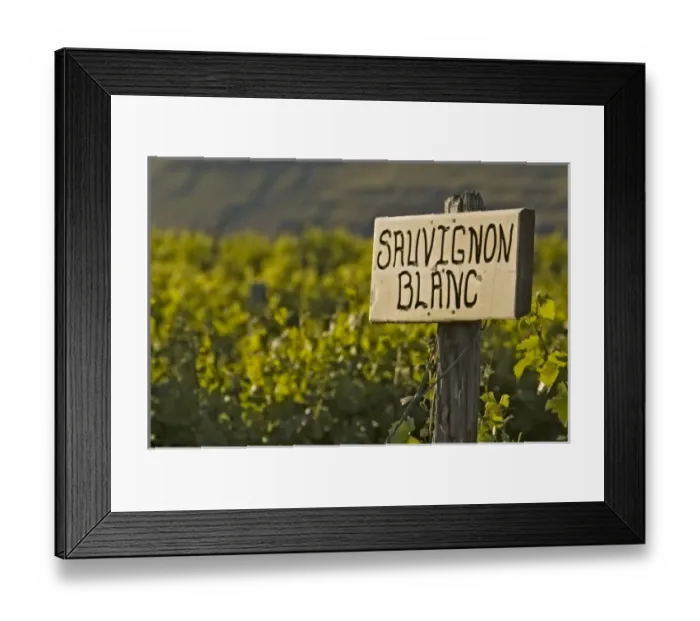 Framed Print : USA, North America, Washington Framed Print : USA, North America, Washington