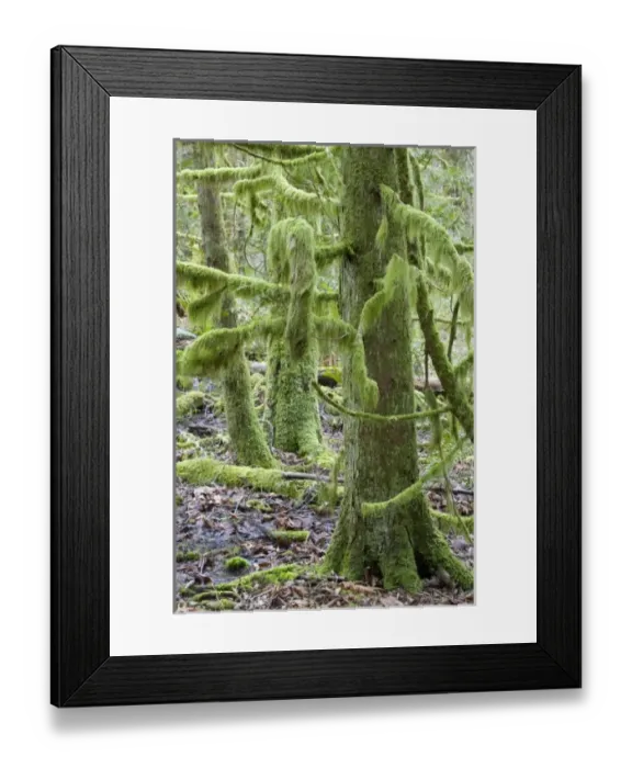 Framed Print : USA, North America, Washington Framed Print : USA, North America, Washington
