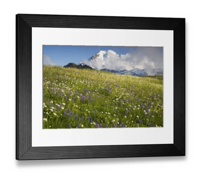 Framed Print : USA, North America, Washington Framed Print : USA, North America, Washington