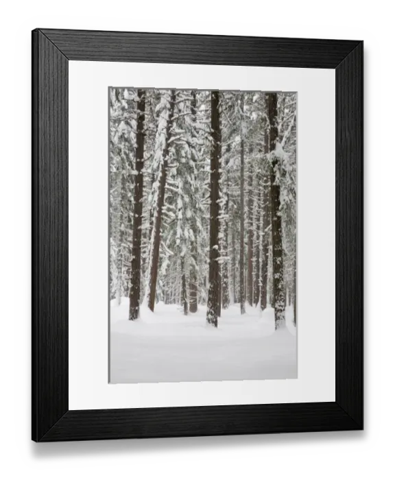 Framed Print : USA, North America, Washington Framed Print : USA, North America, Washington