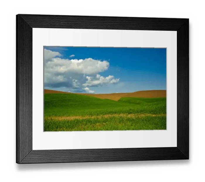 Framed Print : USA, Washington, Palouse. Wheat field in Washingtons rich Palouse farmland Framed Print : USA, Washington, Palouse. Wheat field in Washingtons rich Palouse farmland