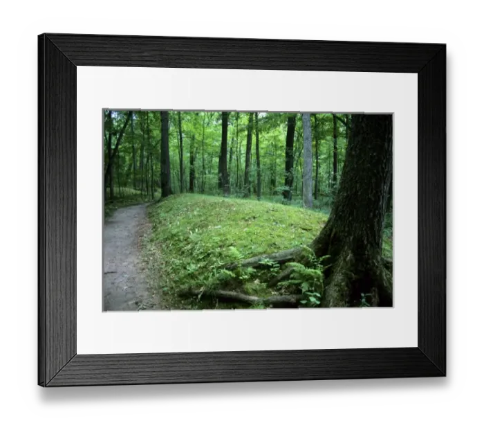 Framed Print : Effigy Mounds at Lizard Mound Park at West Bend, Wisconsin Framed Print : Effigy Mounds at Lizard Mound Park at West Bend, Wisconsin