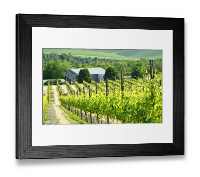 Framed Print : USA, North America, Washington